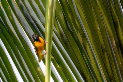 [Non sélectionnée] DSC 2211