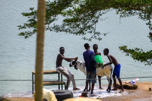 [Non sélectionnée] DSC 6221