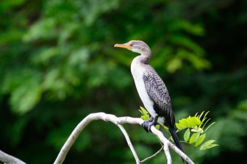 [Non sélectionnée] DSC 8056