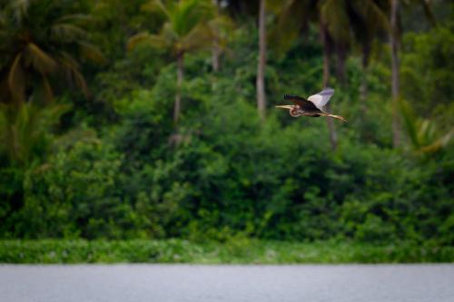 [Non sélectionnée] DSC 8229 (1) (1)