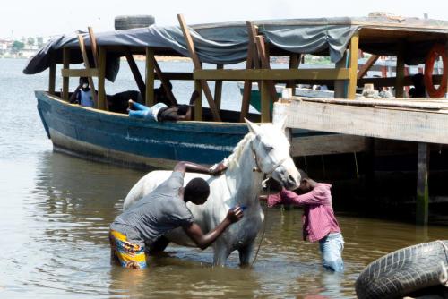 [Non sélectionnée] P1030853